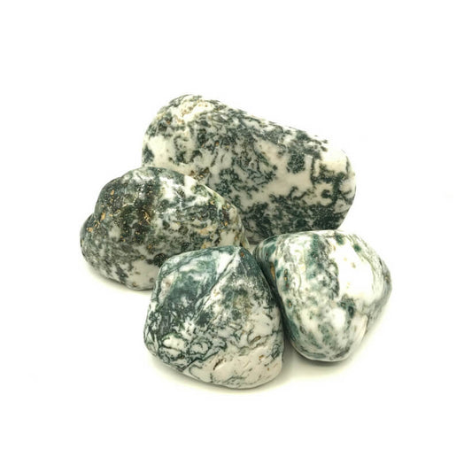 Baumachat Trommelstein